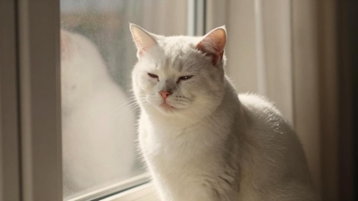 几个小方法可助你出外旅游时安然入睡 - 盛景通文旅