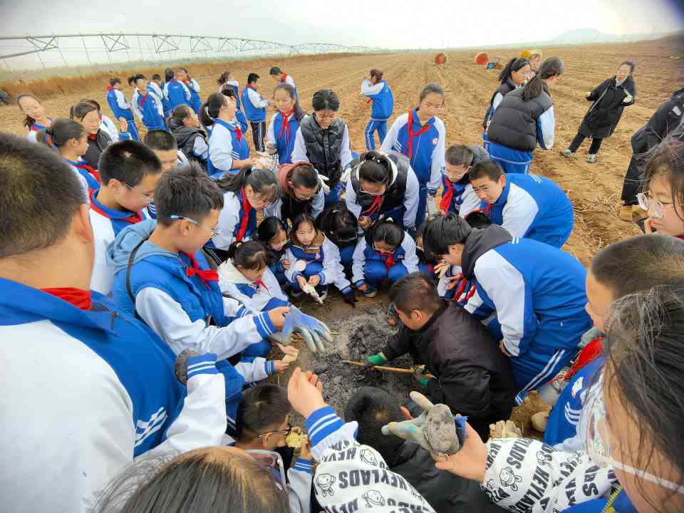 内蒙古金秋“宿”出新活力 - 盛景通文旅