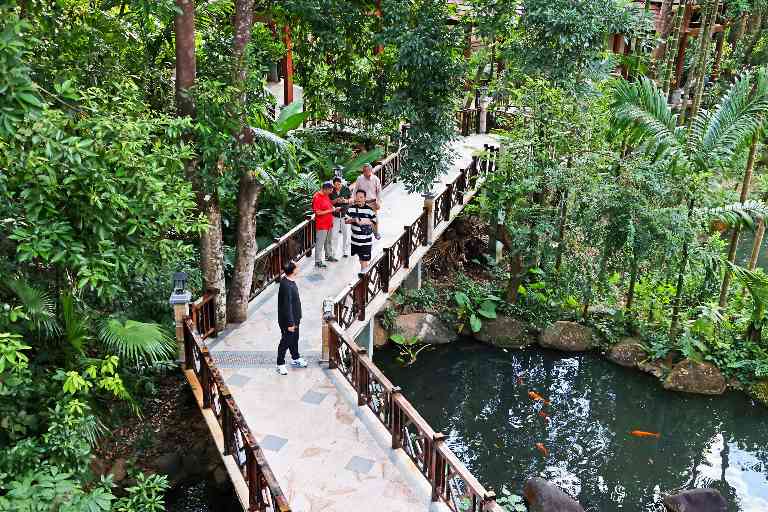 让康养旅居从“候鸟迁徙”走向“品质生活”(图2)