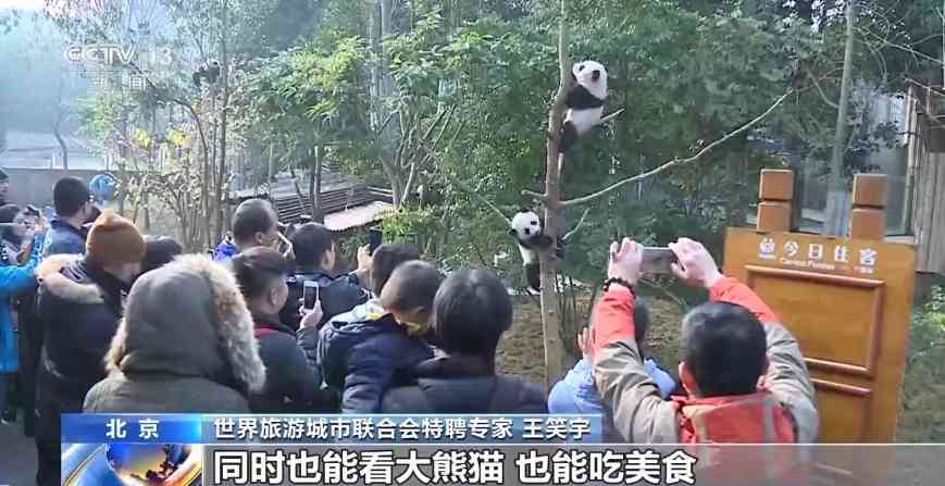 外国游客的中国游“隐藏玩法”竟然有这么多(图4)