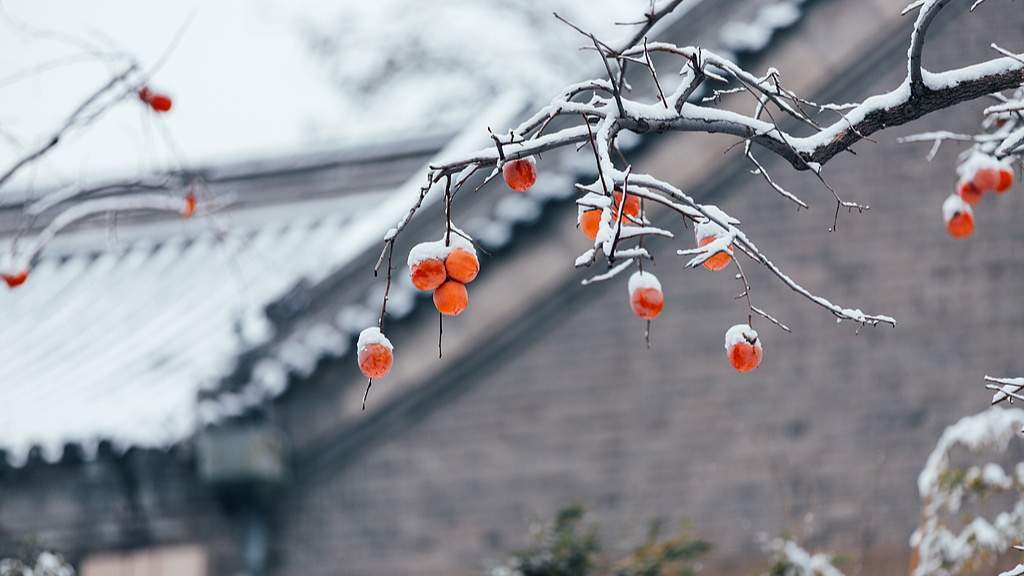 节令之美｜7日6时20分立冬：昨夜清霜冷絮�n，纷纷红叶满阶头 - 盛景通文旅