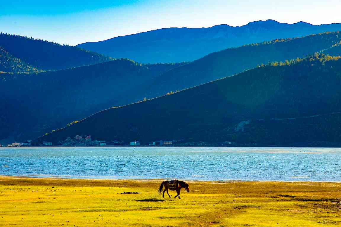 以“乡土密码”激活乡村旅游的安顺实践 - 盛景通文旅