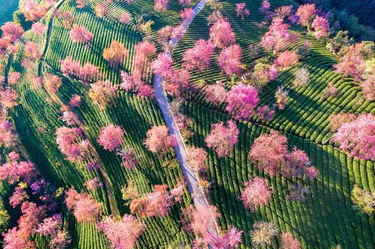 立春 - 盛景通文旅