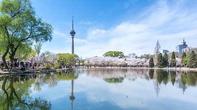 市属公园推出30处赏花踏青场所 - 盛景通文旅