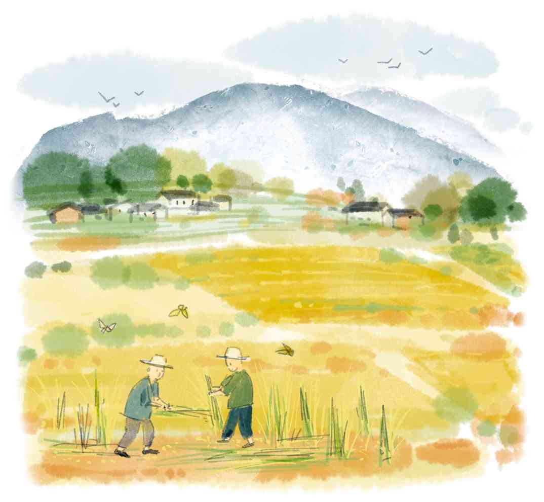 游廖家村镇 - 盛景通文旅