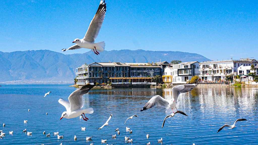 云南：到今年年底 云南旅居人数将达380万人 - 盛景通文旅