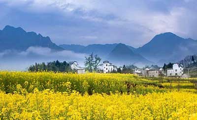 清明假期临近，出行、游览、祭扫最新要求来了 - 盛景通文旅