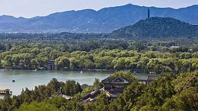 春夏秋冬都能游赏森林 - 盛景通文旅