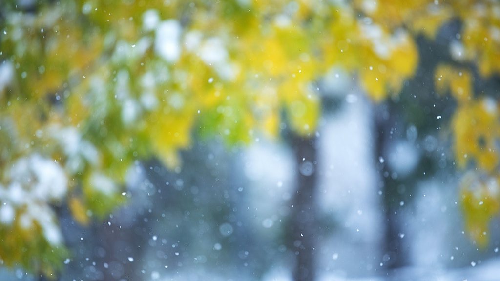 文化中国行・诗意节令｜小雪：晚来天欲雪，能饮一杯无？ - 盛景通文旅