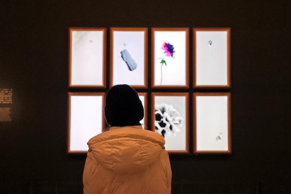 科技艺术新样貌展在中国美术馆开展(图13) 科技艺术新样貌展在中国美术馆开展(图13)