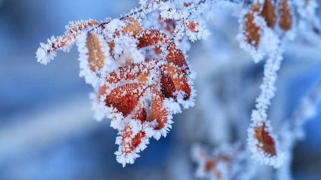 光明文化周末：立冬 - 盛景通文旅