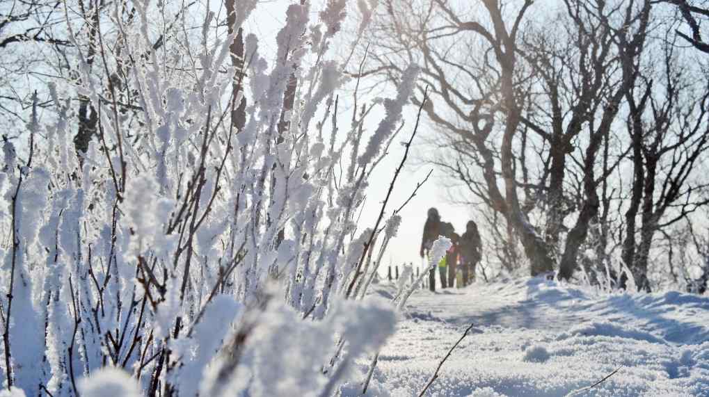 关注四个趋势 强化冰雪旅游营销 - 盛景通文旅