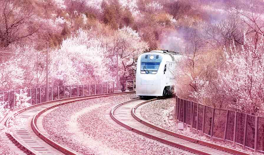 “重启人生”也可以从一次旅行开始 - 盛景通文旅