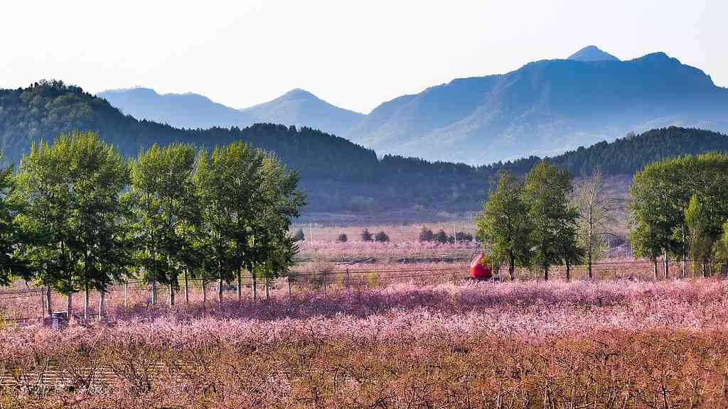 现代艺术与古老村庄的相拥――艺术乡建中的青年人 - 盛景通文旅
