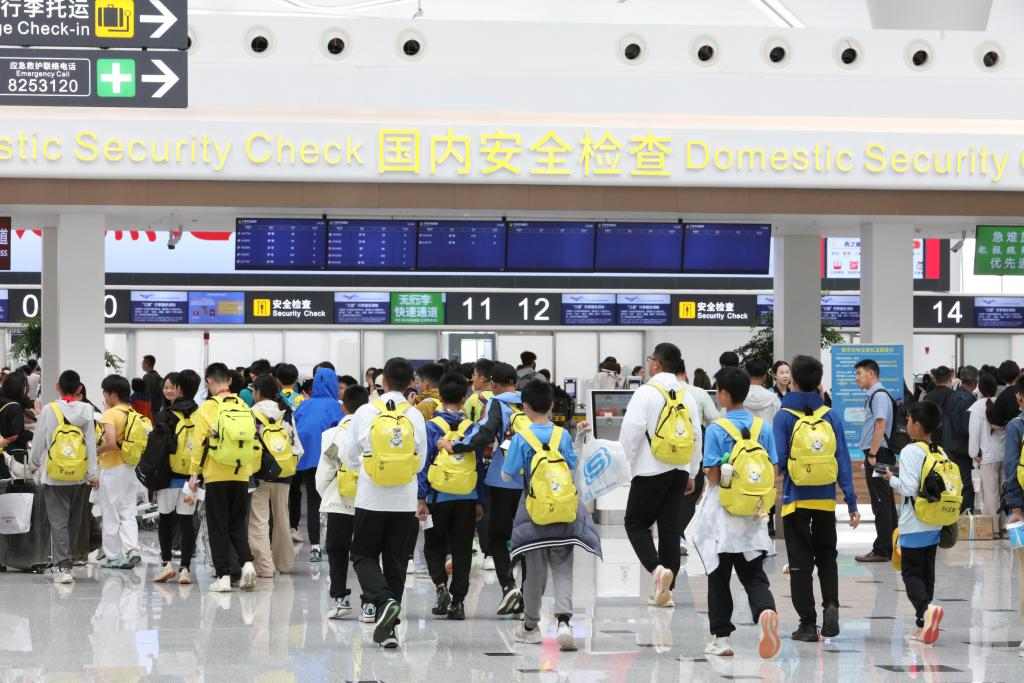 “支支串飞”航线激活西部丝路游(图2)