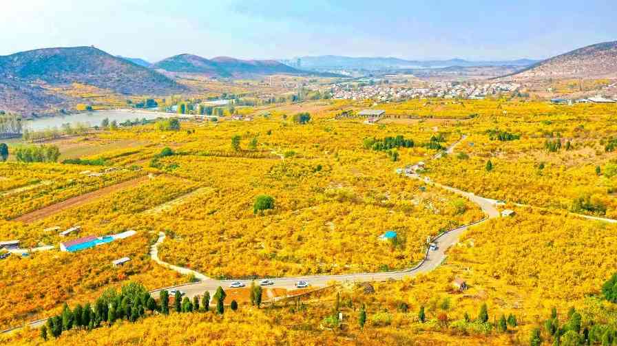 建设文旅大环线 串起淮河好风景 - 盛景通文旅