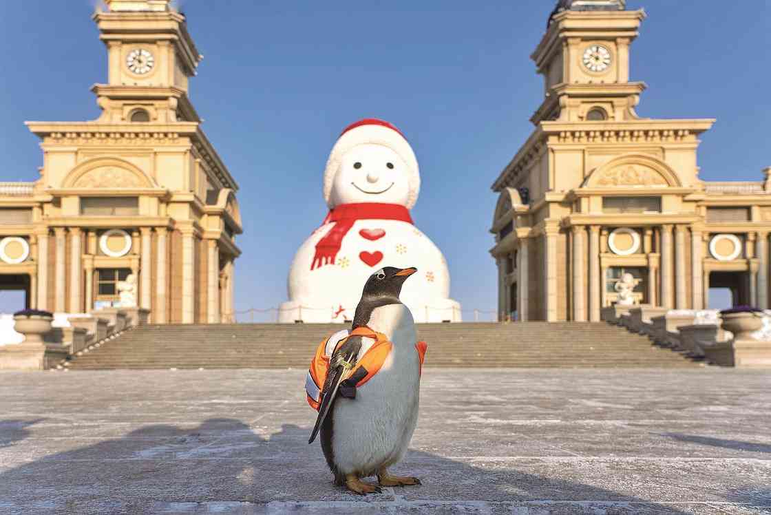 100天！“赏冰乐雪在龙江”(图1)