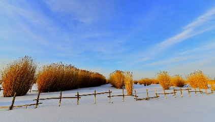 “扫码吐槽”并非一扫了之 - 盛景通文旅
