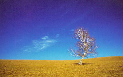 你未曾领略的秋色之美(图7)