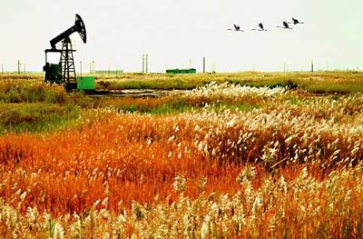 你未曾领略的秋色之美(图6)