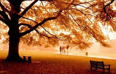 你未曾领略的秋色之美(图3)