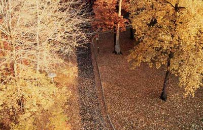 你未曾领略的秋色之美(图11)