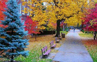 你未曾领略的秋色之美(图12)