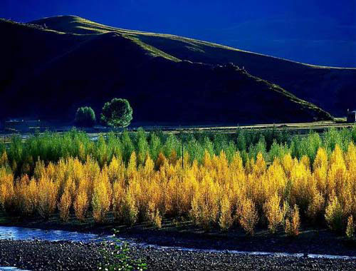 中国公认最美丽的地方(图2) 中国公认最美丽的地方(图2)