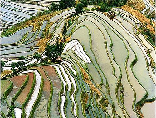 中国公认最美丽的地方(图14) 中国公认最美丽的地方(图14)