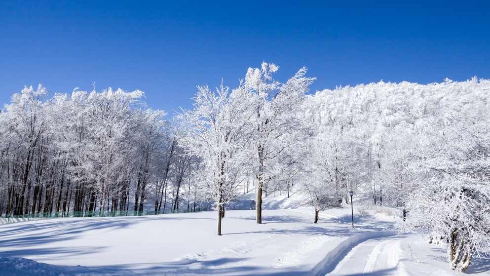 “雪假”落地，如何用好弹性休假实现“亲子同休”？ - 盛景通文旅