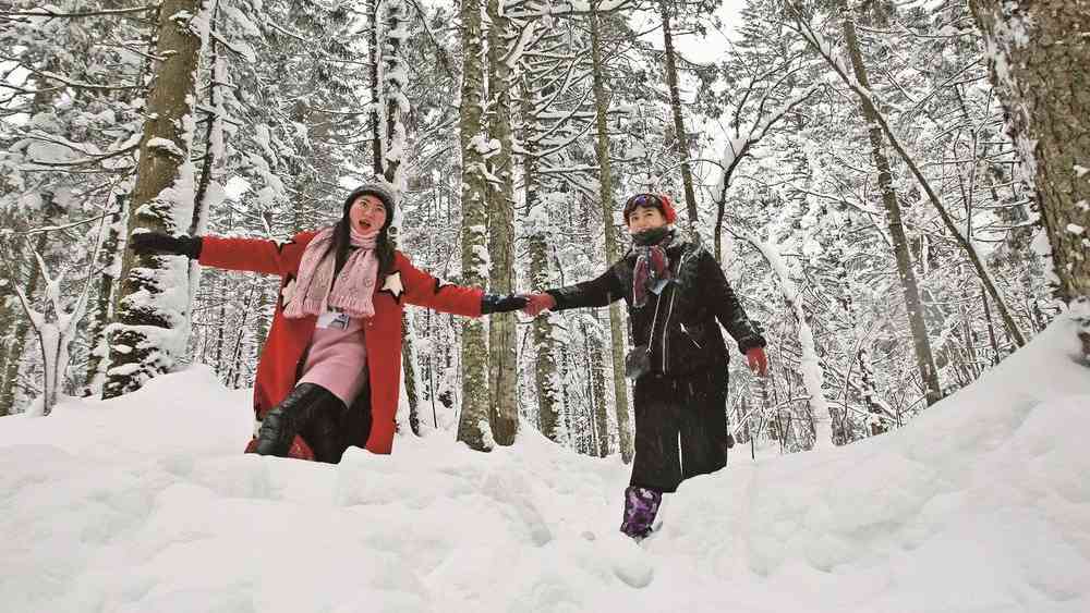 今冬冰雪旅游市场有多热 - 盛景通文旅