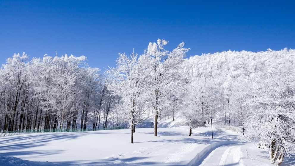 2026哈尔滨国际冰雪经济博览会开幕 - 盛景通文旅