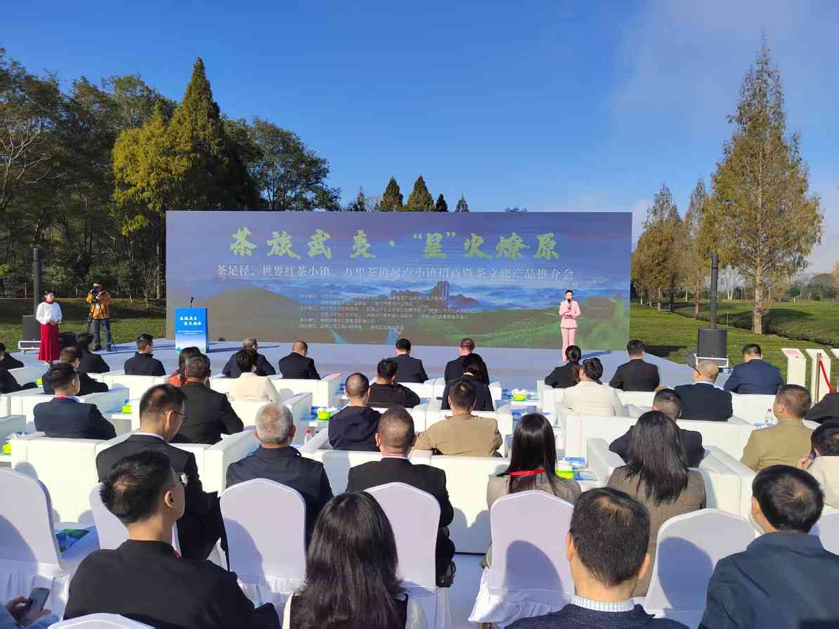 福建武夷山开展茶文旅产品推介和项目招商 - 盛景通文旅