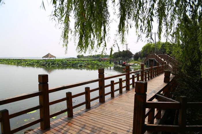 阳澄湖莲花岛旅游 苏州莲花岛攻略(图2)