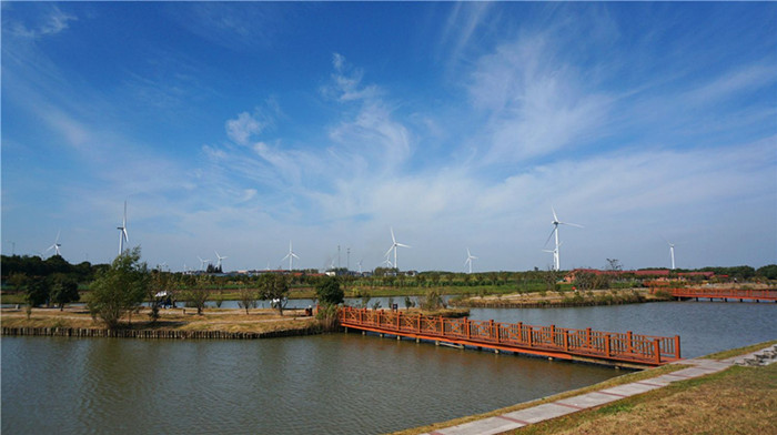 苏州阳澄湖游玩 莲花岛农家乐吃湖鲜(图2)