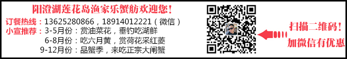 阳澄湖莲花岛自驾游 莲花岛农家乐品湖鲜 - 盛景通文旅