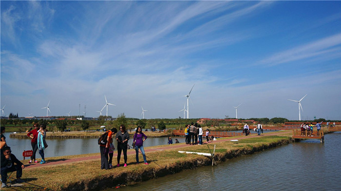 阳澄湖一日游攻略 莲花岛农家乐品湖鲜(图3)
