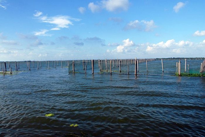 阳澄湖莲花岛一日游 阳澄湖农家乐吃蟹攻略(图2)
