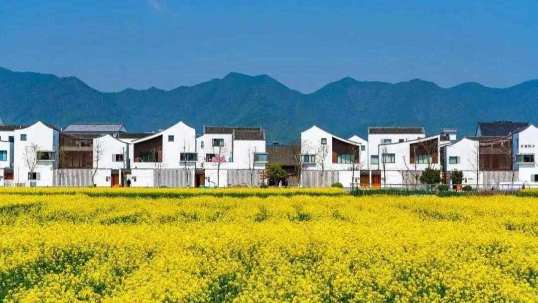 助力发展乡村特色产业和品牌经济 我国进一步加强地理标志运用 - 盛景通文旅