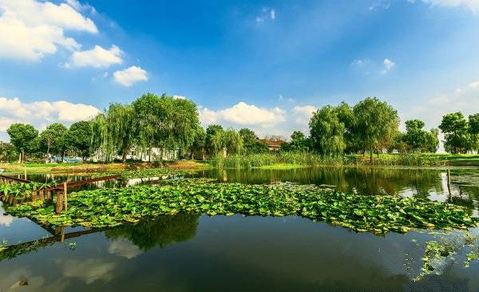 阳澄湖莲花岛湖鲜 苏州阳澄湖旅游纪实(图2)