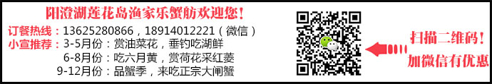 阳澄湖莲花岛自驾游攻略 阳澄湖大闸蟹“六月 - 盛景通文旅