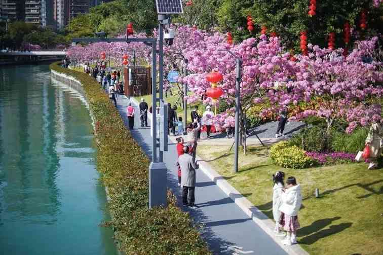 级别晋升!南山这两个网红打卡点传利好消息(图1) 级别晋升!南山这两个网红打卡点传利好消息(图1)