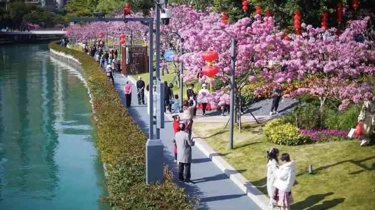 级别晋升！南山这两个网红打卡点传利好消息 - 盛景通文旅