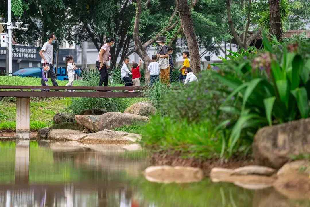 级别晋升!南山这两个网红打卡点传利好消息(图8) 级别晋升!南山这两个网红打卡点传利好消息(图8)