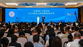 2025中国群众文化品牌典型案例发布 - 盛景通文旅