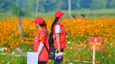 从“一抹红”到“一片红” 志愿服务情暖旅途 - 盛景通文旅