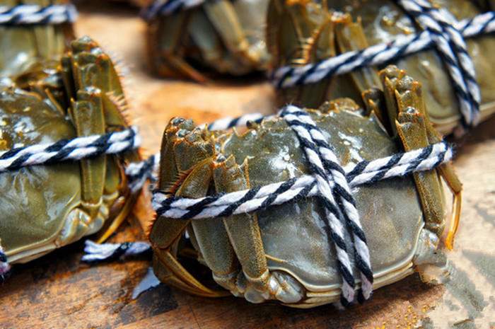 莲花岛阳澄湖大闸蟹 阳澄湖大闸蟹攻略(图3)