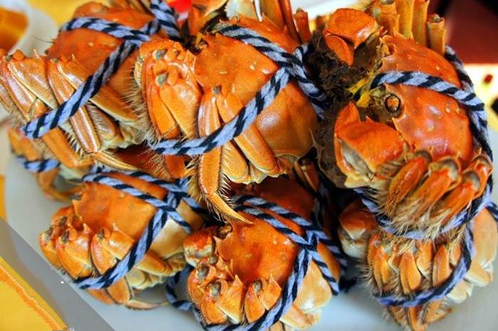 阳澄湖莲花岛旅游攻略 去阳澄湖吃大闸蟹哪家(图3)