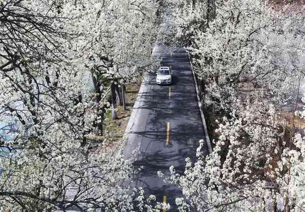 阿坝州：交旅融合建最美风景道，打造全国自驾旅游第一州(图10)