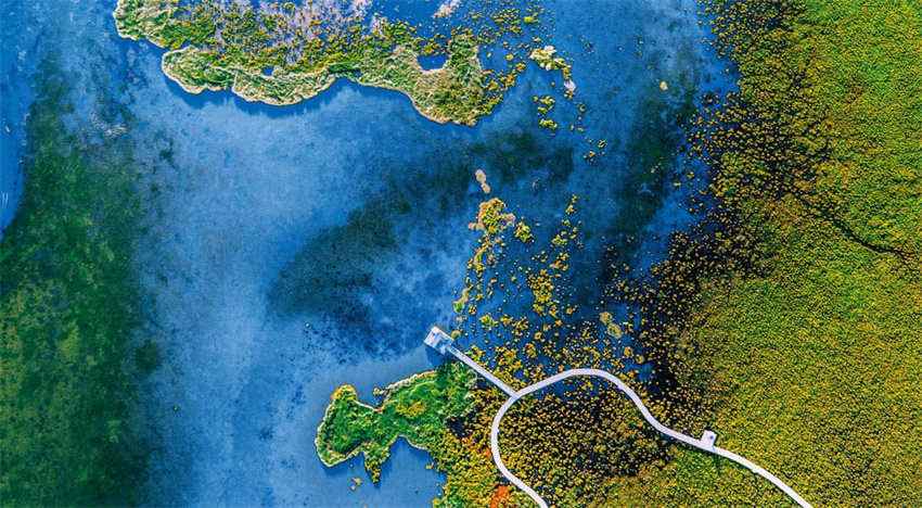 阿坝州：交旅融合建最美风景道，打造全国自驾旅游第一州(图11)